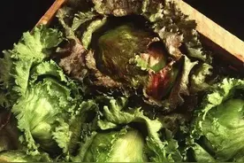 提醒大家；3种蔬菜浑身“堆满”寄生虫，宁愿不吃，也别去碰图片