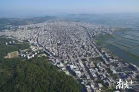 潮州唯一！饶平汫洲镇入选2020年农业产业强镇建设公示名单，广东仅12个图片