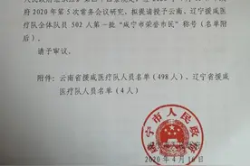 点赞！云南498名医疗队员被授予咸宁“荣誉市民”图片