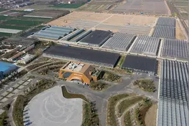 扶贫点上看变化 | 睢宁县抓好“三农”促扶贫 扎根乡土，乐享幸福新生活图片