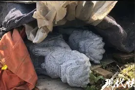 看到别人家祖坟前石狮子很气派，老汉一口气偷了18只图片