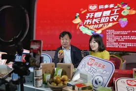 给力！桂林副市长上拼多多直播卖罗汉果，吸引146万人围观图片