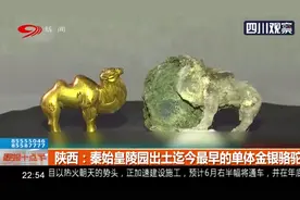 秦始皇陵园出土迄今最早的单体金银骆驼图片