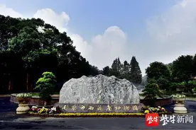 优质服务深入人心，小型生态墓赢得认可图片