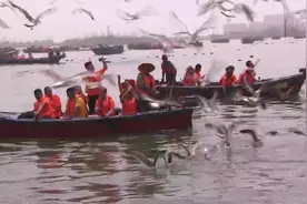 喂海鸥、捞海货、游海岛、品海鲜……大连金石滩，看海也要看不一样的图片