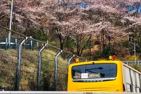 韩国抗疫见闻：手机曾被“轰炸”警报一天十多条图片
