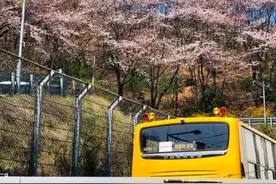 韩国抗疫见闻：手机曾被“轰炸”警报一天十多条图片