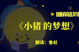 睡前故事丨小猪的梦想图片
