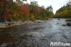 散文丨永远的小涑河图片