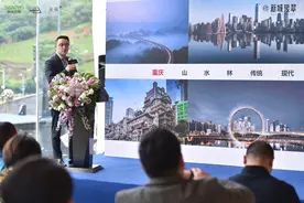 江北低密纯新盘来了！新城在渝全新项目亮相图片