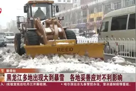 黑龙江多地出现大到暴雪！高速关闭，各地妥善应对不利影响视频封面