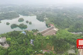 安州白水湖水库大坝边挖出“白蚁王宫”，活捉16对蚁王蚁后图片