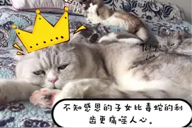 莎士比亚生日，21位华语戏剧人线上创作图片