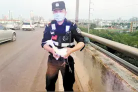 特警二环高架救白鹭图片