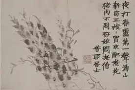 “扬州八怪”之首的金农，如何画笋、吃笋图片