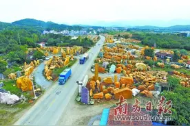 以项目为抓手促进多元化发展图片