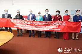 墨西哥华侨华人向当地捐赠防疫物资图片