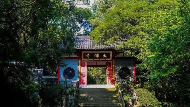 延续千年文脉！新昌“大佛龙井”茶禅一味世间香