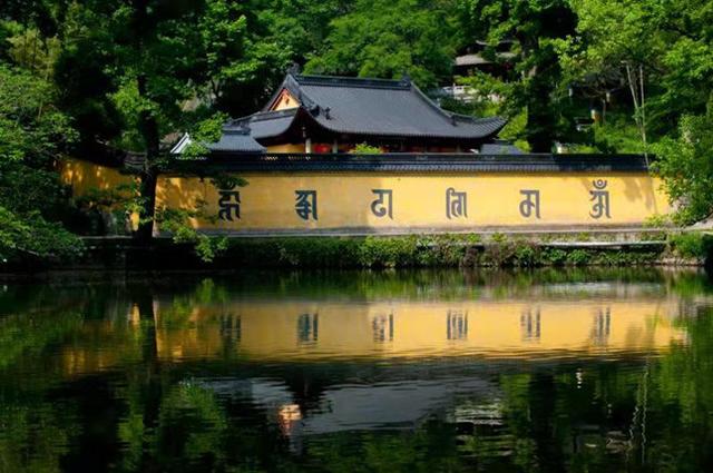 延续千年文脉！新昌“大佛龙井”茶禅一味世间香