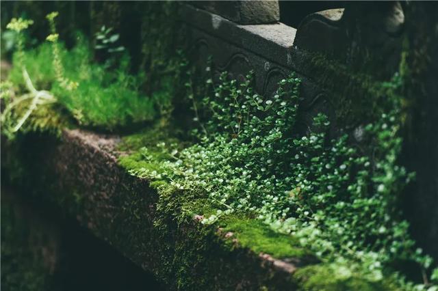 1%的才知道的小众秘境！五一就去这处诗酒田园，闻闻时间的味道