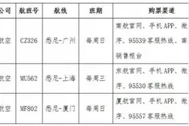 驻悉尼总领馆提醒：通过航空公司直销渠道购买机票图片