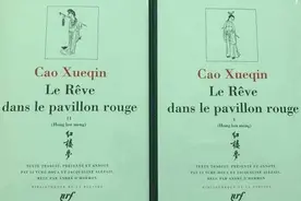 外国人怎么阅读《红楼梦》？林妹妹是“黑色的玉石”图片