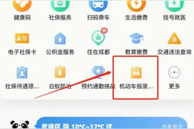 一键报废 天府市民云上新机动车报废申请服务图片