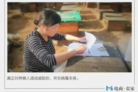 疫情下的湖北养蜂人：和180箱蜜蜂一起追赶春天图片