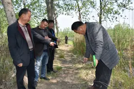桃林镇公共空间治理 成为乡村振兴的新密码图片