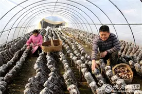 汉中市脱贫攻坚成效考核成绩连续三年位居陕西省“第一方阵”图片