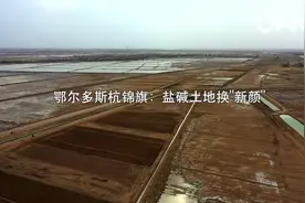 鄂尔多斯杭锦旗：盐碱土地换新颜视频封面