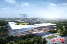 全国首家！湖北开建“平疫两用”医院，武汉“两山”设计企业参与图片