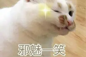 女子醒来脸部暴肿差点窒息！低楼层居民要小心“它们”图片
