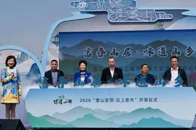 潮起富春湾，韵味大江南！春江+大源+灵桥+里山+渔山，味道山乡“大安顶组团”亮相图片