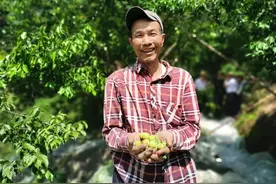 酸酸甜甜就是我图片