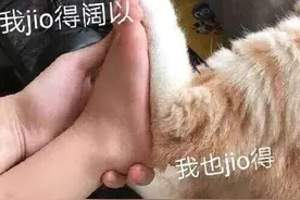 开学第一天摸鸡、摸大葱？山东这个幼儿园画风有点可爱图片