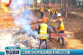 江西除治松材线虫病疫木468.23万株视频封面