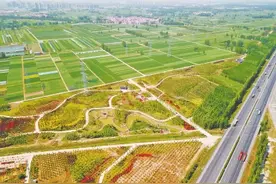 乔灌搭配复层景 人车穿行森林中 @所有人，郑州生态廊道这样建图片