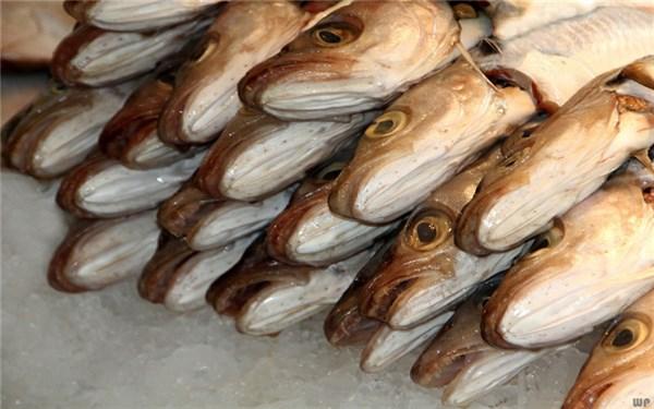 米鱼的功效 2026年米鱼的功效与副作用 米鱼的功效 2026年米鱼的功效与副作用