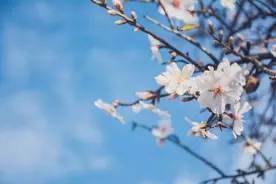 这45首经典古诗词，你只知一句，却不知全文图片