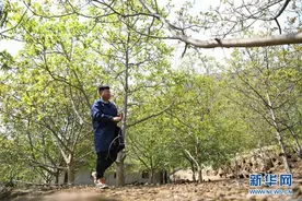 “90后新农人”的返乡致富路图片
