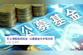 中国财富报道|盯上港股投资机会 公募基金大手笔扫货视频封面