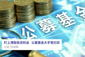 中国财富报道|盯上港股投资机会 公募基金大手笔扫货视频封面