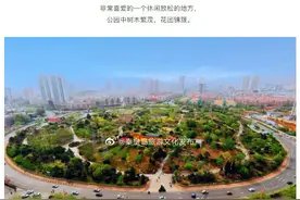 秦皇岛新世纪公园郁金香竞相绽放图片