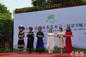 云南山头茶价格发布 最高每公斤达4万元图片