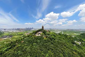 观潮 | 4个月流入人口17万，一座“老城”澎湃“吸新”的背后密码图片