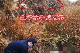 鱼没钓到，命却丢了！怎么回事……图片