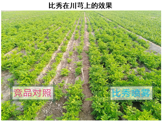 三生物刺激素复合产品来袭！氨基酸+甲壳素+微生物分泌物，抗逆又营养