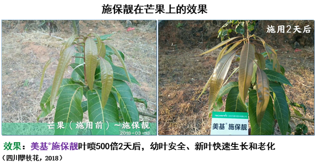 三生物刺激素复合产品来袭！氨基酸+甲壳素+微生物分泌物，抗逆又营养