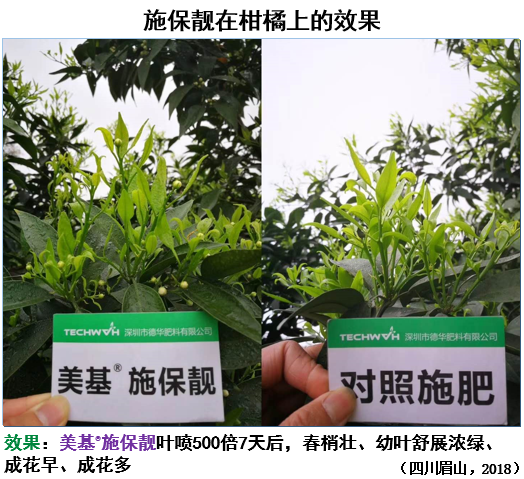 三生物刺激素复合产品来袭！氨基酸+甲壳素+微生物分泌物，抗逆又营养